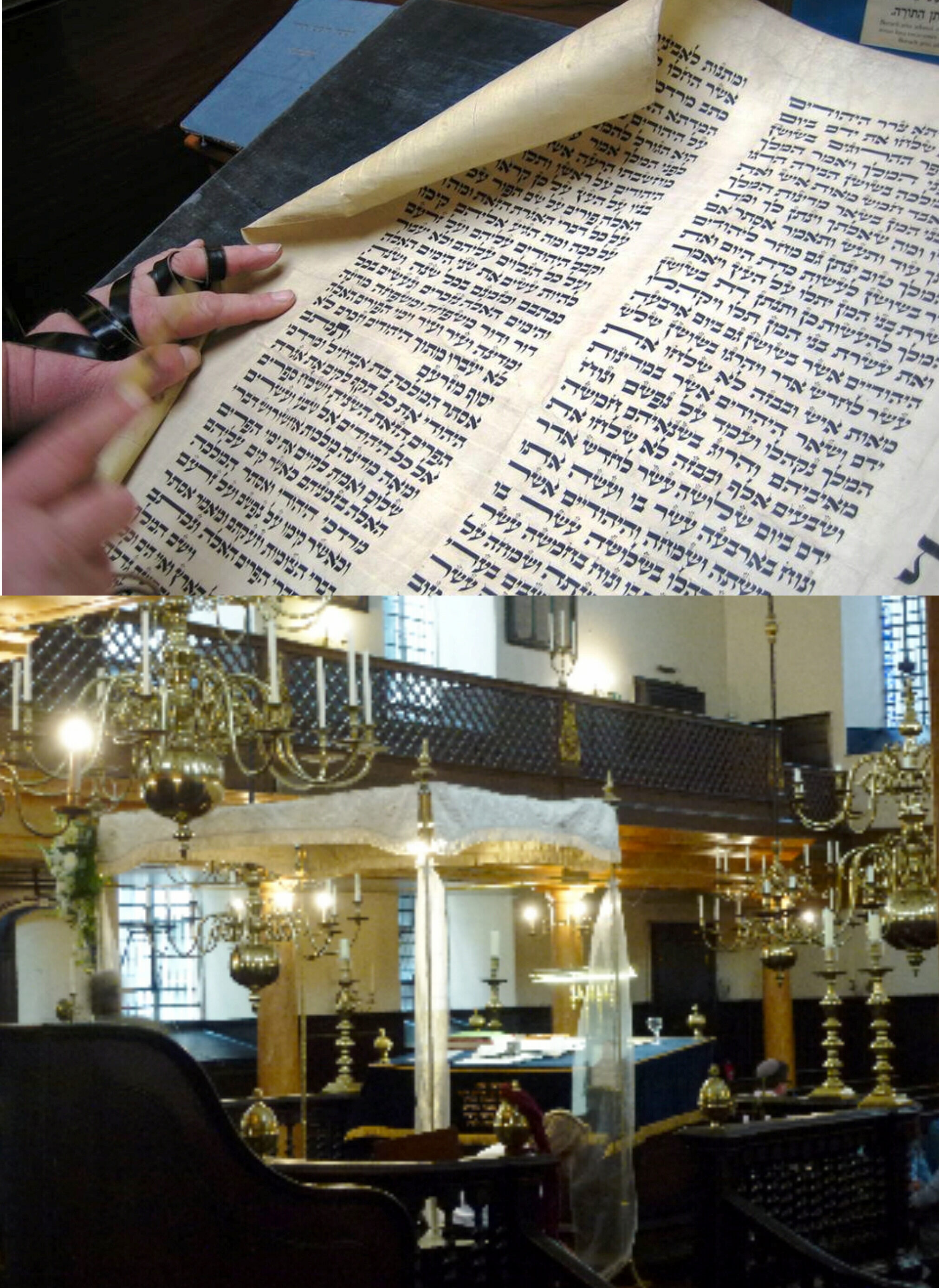 Wedding Canopy and Purim scroll